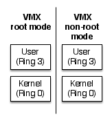 VMX non Root Mode